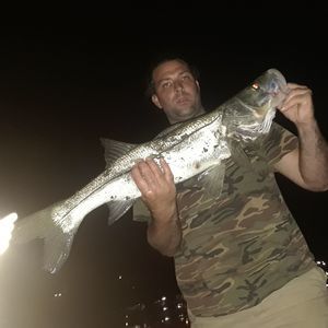 Meet your Posher, Jon